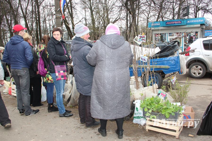 В Великих Луках проходит Весенняя ярмарка