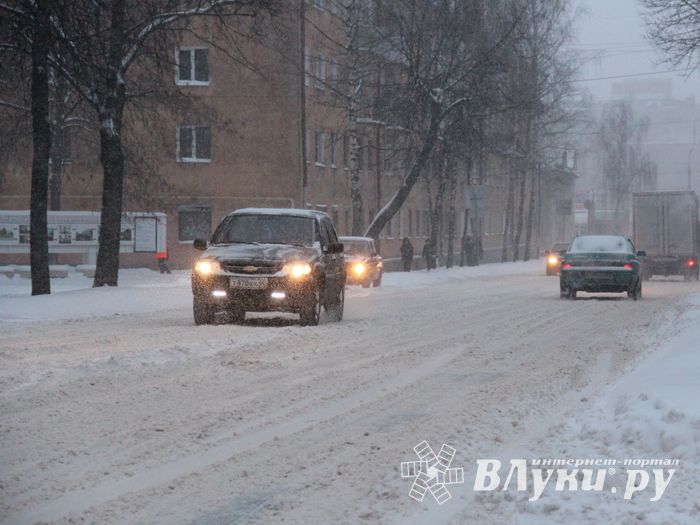 Великие Луки заносит снегом (фото)