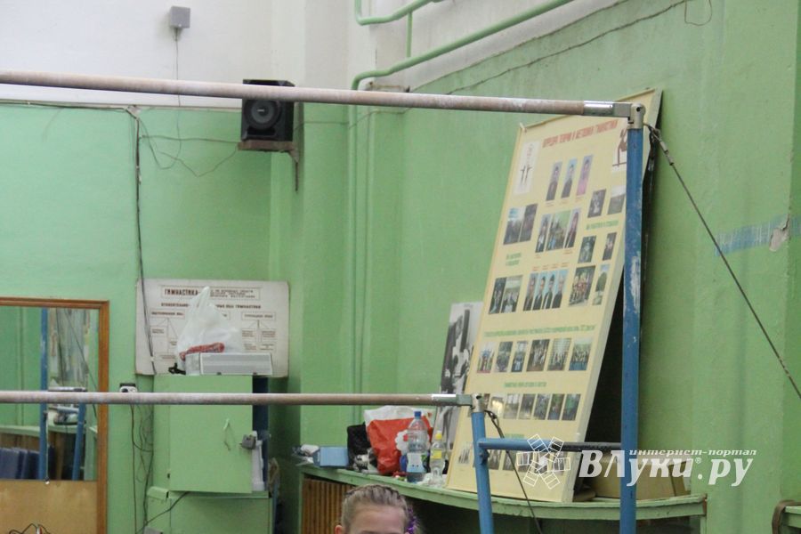 В Великих Луках прошло Первенство Области по спортивной гимнастики (фото)