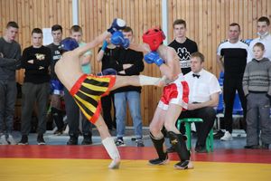 Фестиваль боевых искусств прошел в Великих Луках (ФОТО)