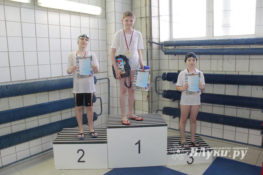 В Великих Луках прошли соревнования по плаванию «Быстрый Кашалот»