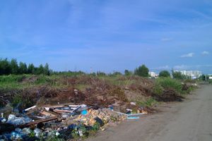 В Великих Луках, на берегу Лазавицы, сваливают кресты, венки и мебель (ФОТО)