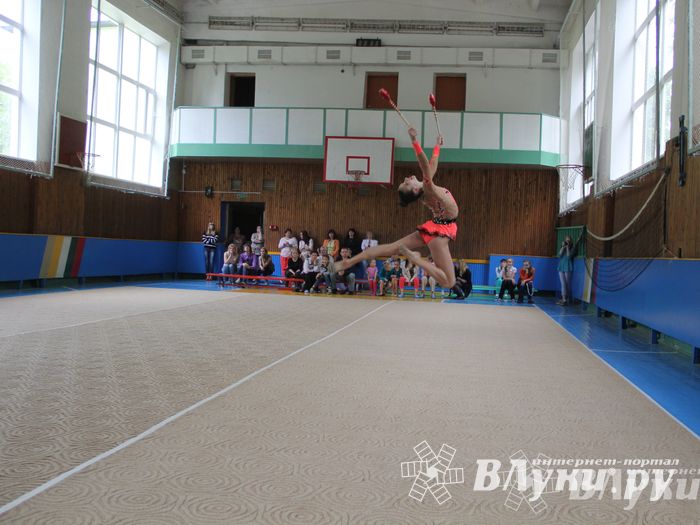В Великих Луках прошло Первенство по художественной гимнастике (фото)