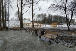 В парке «Петровский» появилась «Яблоня любви» (ФОТО)