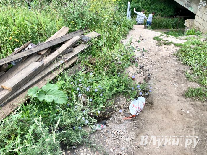 Великолучанка собралась жаловаться Путину на опасный Лазавицкий переезд (ФОТО)