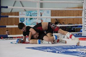 Открытый кубок по смешанному боевому единоборству ММА прошел в Великих Луках (ФОТО)