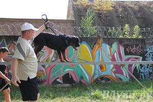 День открытых дверей на спортивно-дрессировочной площадке