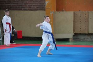 Открытый Кубок города Великие Луки по каратэ WKF (ФОТО)
