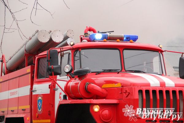 В Псковской области чаще всего на пожарах гибнут пенсионеры