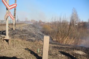 Великолукский район полыхает (ФОТО; ВИДЕО)