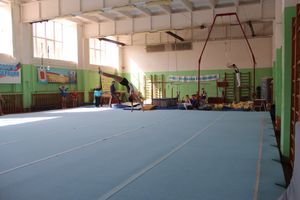 В Великих Луках проходит открытое первенство по спортивной гимнастике (ФОТО)