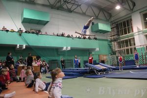 «Парад гимнастики» прошел в Великих Луках (фото)