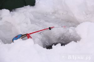 Подведены итоги Открытого чемпионата Великих Лук по рыболовному спорту (фото)