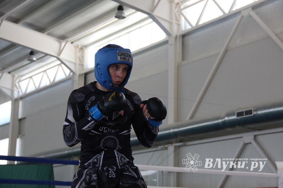 В Великих Луках проходит открытый кубок по смешанному боевому единоборству ММА (ФОТО) (12+)