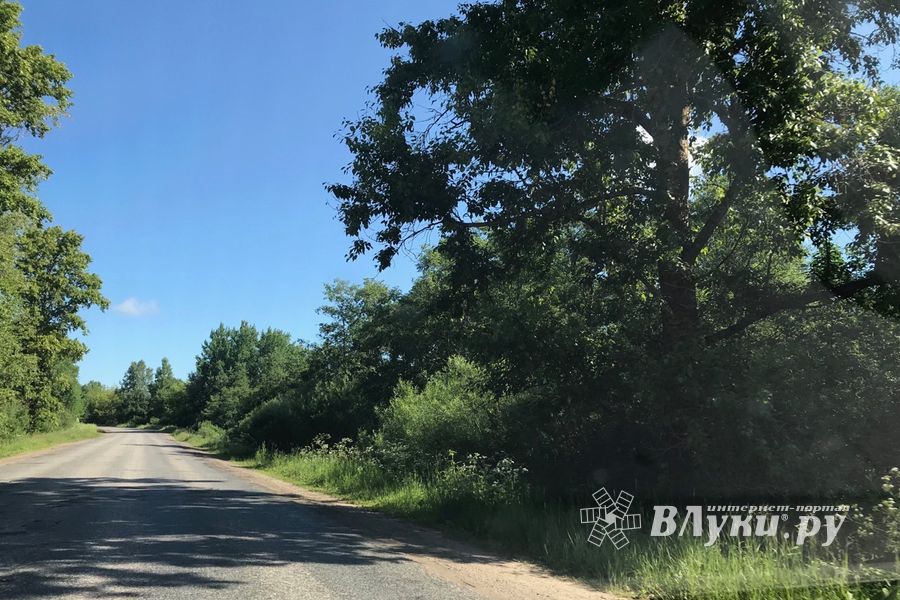 Трава у дома (ФОТО)