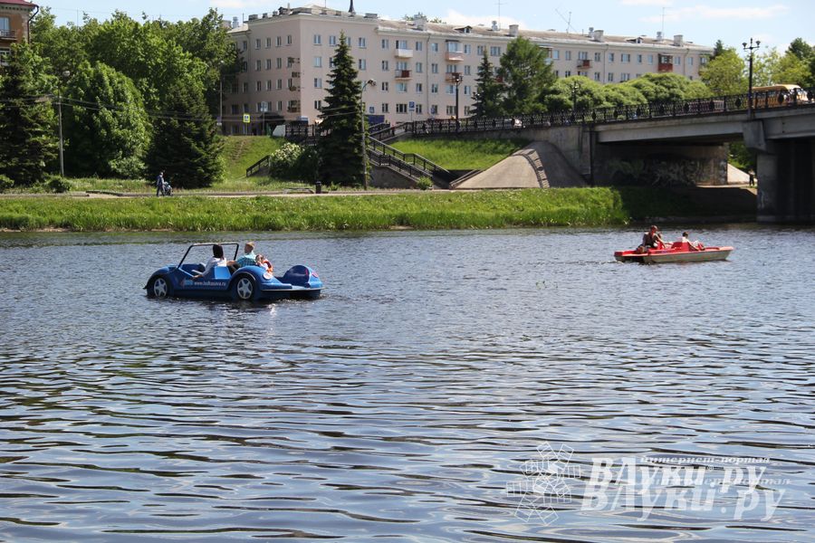 День защиты детей отпраздновали В Великих Луках (фото)