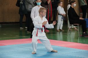 Открытый Кубок города Великие Луки по каратэ WKF (ФОТО)