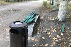 Парк Пушкина: «... А вкруг меня глухое запустенье...» (ФОТО)