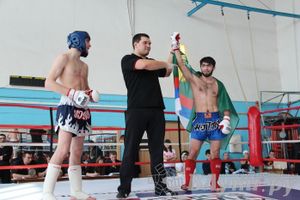 Чемпионат Псковской области по ММА