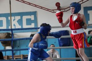 В Великих Луках прошло Первенство города по боксу (ФОТО)