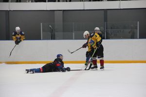 «Экспресс» с разгромным счетом обыграл «Родину» (ФОТО)