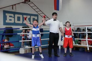 Юные великолучане выявили сильнейших боксёров (ФОТО)