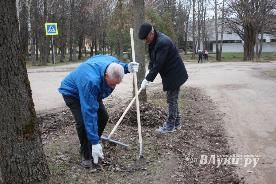 Городские СМИ провели субботник (ФОТО)