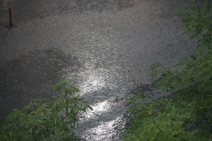 ©ВЛуки.ру