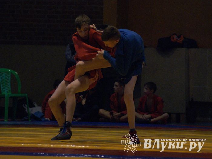 Великолучане завоевали призовые места на турнире по самбо «Память» (ФОТО)