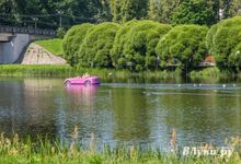 Прогноз погоды на 31 июля в Великих Луках