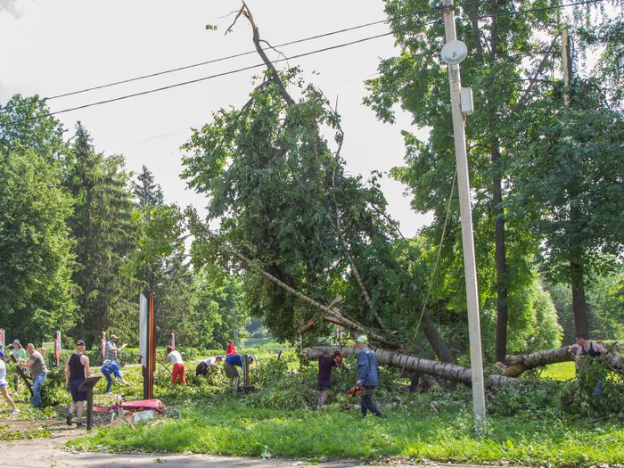 Небезразличные великолучане помогают убрать город после урагана (ФОТО)