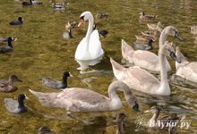 Прогноз погоды на 3 сентября в Великих Луках