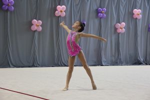 ​В Великих Луках проходит Открытое Первенство по художественной гимнастике (ФОТО) (0+)