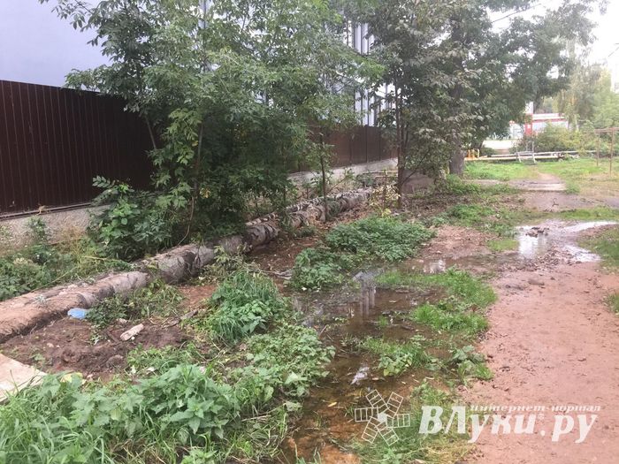 В Великих Луках забил «гейзер», по словам коммунальщиков, «рядовая ситуация» (ФОТО+ЗВУК)