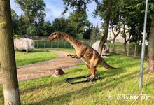 Великолукские динозавры оживают (ФОТО)