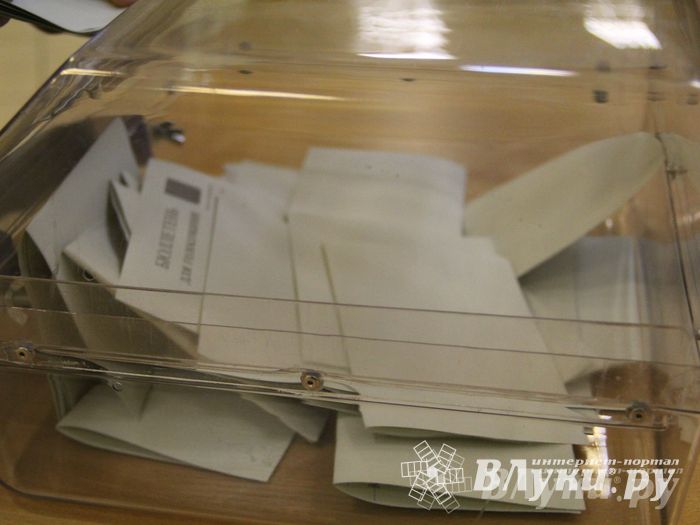 В Великих Луках прошла игра «Молодой политик» (фото)