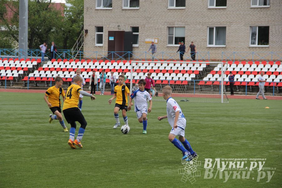 В Великих Луках состоялся Всероссийский турнир «Загрузи себя футболом» (фото)