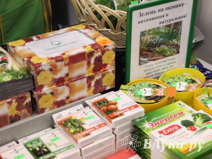 В ДК ЛК открылась 7-я Великолукская универсальная выставка (ФОТО, ВИДЕО)