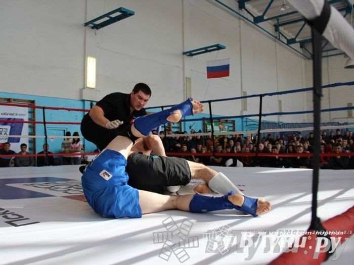 Чемпионат Псковской области по ММА