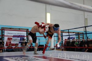 Чемпионат Псковской области по ММА