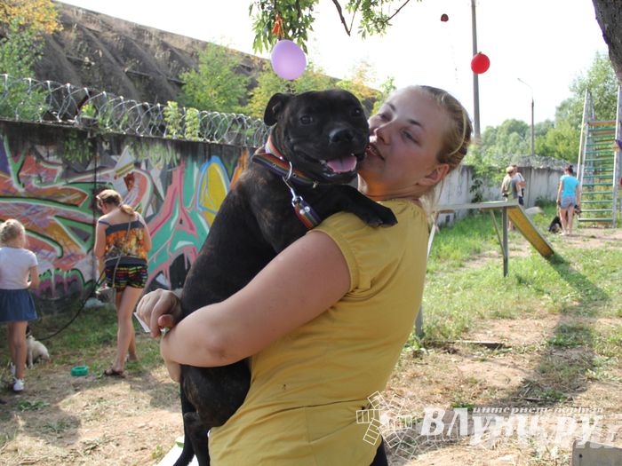 День открытых дверей на спортивно-дрессировочной площадке
