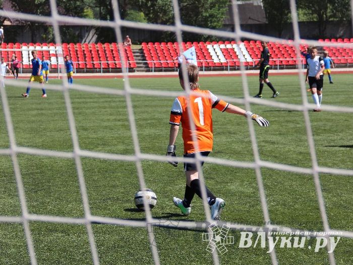 «Локобол-2013»: Великие Луки-Кировск