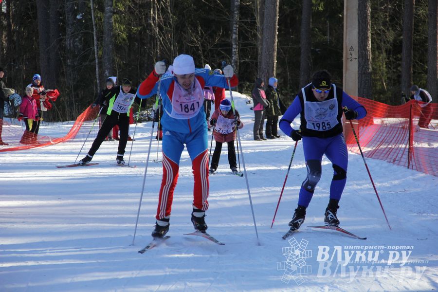 Всероссийская массовая лыжная гонка «Лыжня России 2015» состоялась в Великолукском районе (фото)