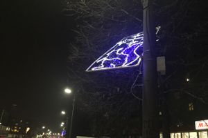 Великолукских белок не выдерживают уличные столбы (ФОТО)