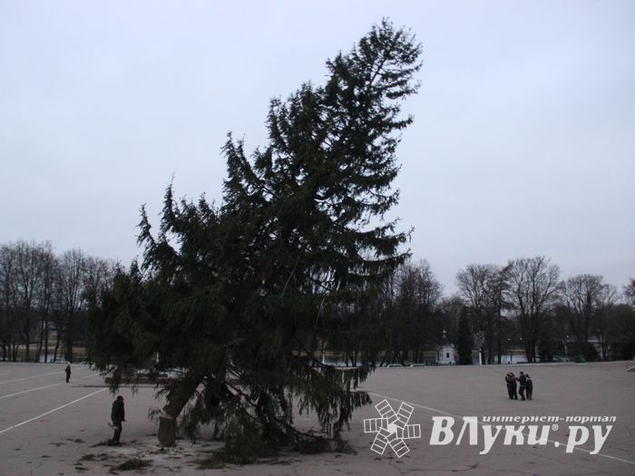 Необычное украшение сняли с главной ёлки Великих Лук (ФОТО)