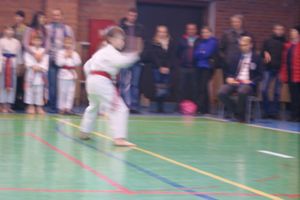 В Великих Луках прошли соревнования по каратэ (ФОТО)