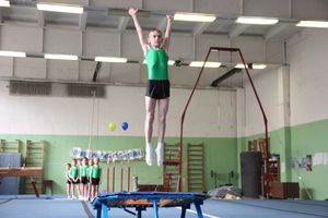 В Великих Луках прошло первенство по спортивной гимнастике (ФОТО)