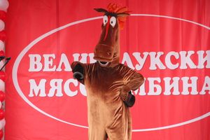 ВЛуки.ру выяснили, какую продукцию «Великолукского мясокомбината» любят покупатели (ФОТО)