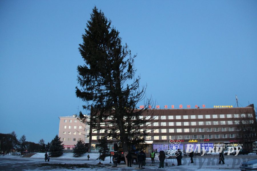 Новогодняя ель приехала в Великие Луки