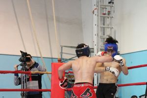 Открытый Кубок города Великие Луки по смешанному боевому единоборству (ММА)